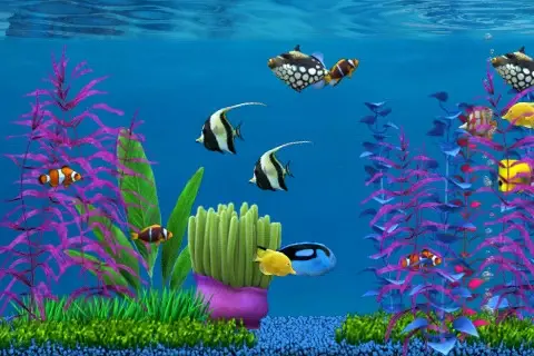 Vous en avez rêvé : un aquarium gratuit pour votre iPhone