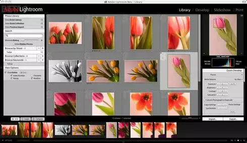 LightRoom 2.3 et Camera Raw 5.3 disponibles