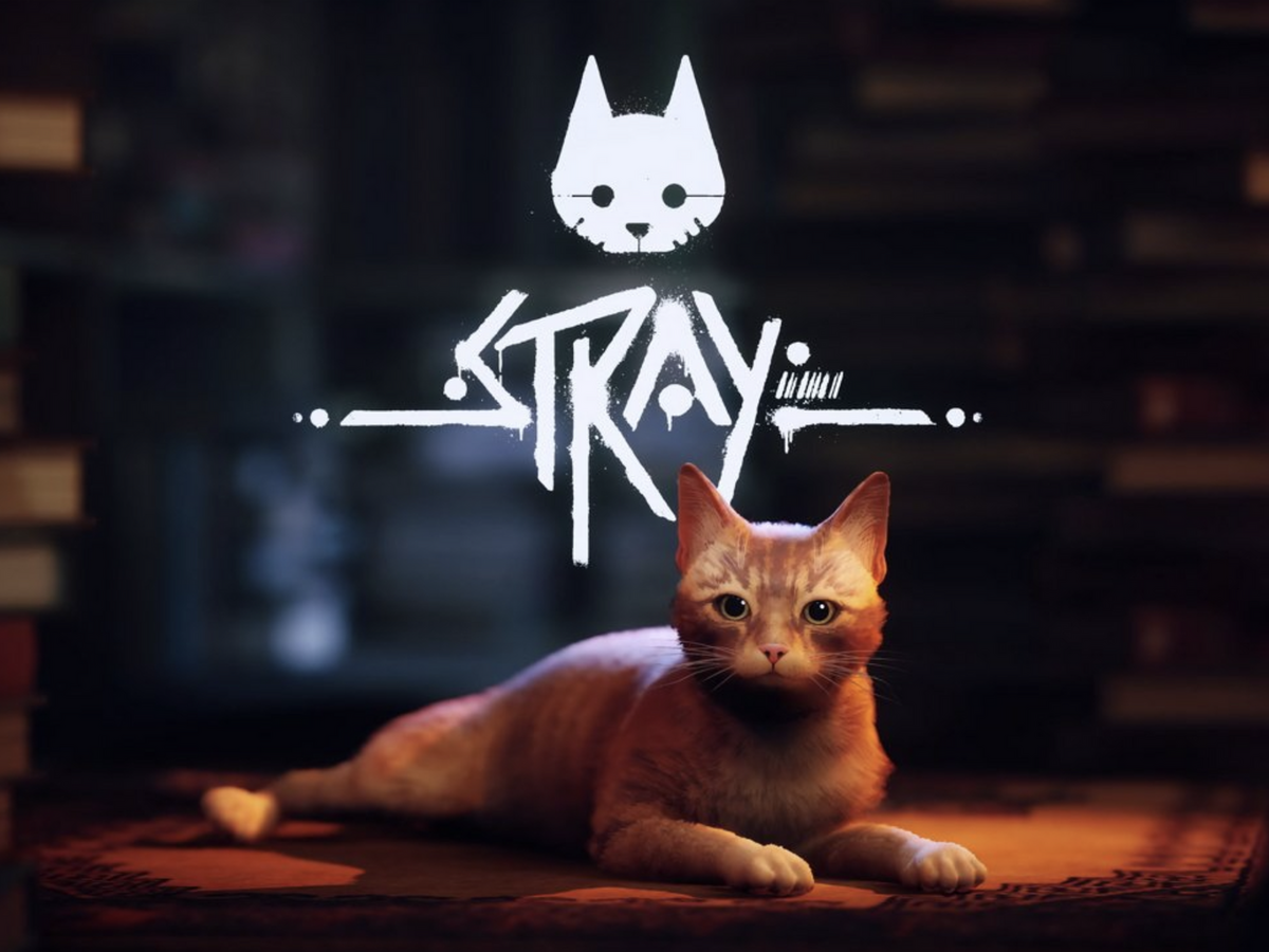 Stray for mac download free