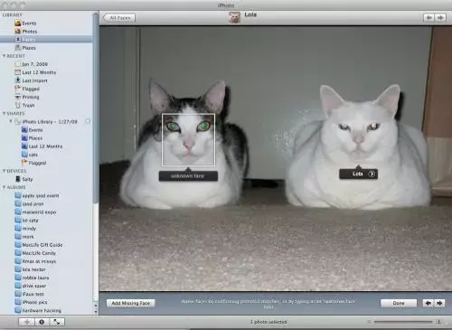 iPhoto reconnait aussi vos animaux : CoinCoin, Meuh, Waf !