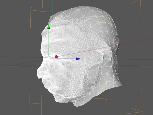 iFace3D, scanner de visage grand public pour iOS