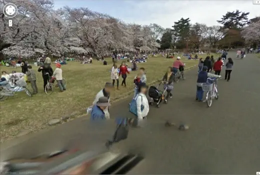 Street View se met au vert