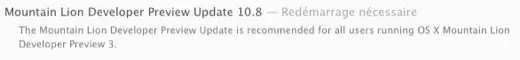 Mountain Lion DP Preview Update 10.8 disponible