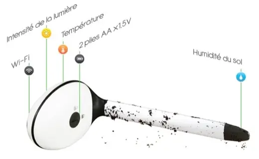 Koubachi, le thermomètre Wi-Fi pour plantes, piloté par iPhone