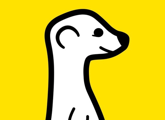 Streaming en direct : Meerkat enterré par Periscope et Facebook Live