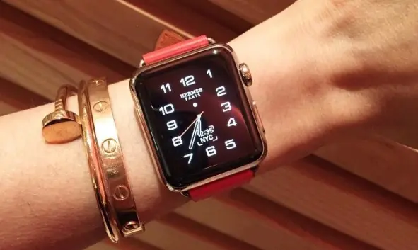 Swag ou pas swag l'Apple Watch Hermès ? Tour d'horizon des photos de fashionistas