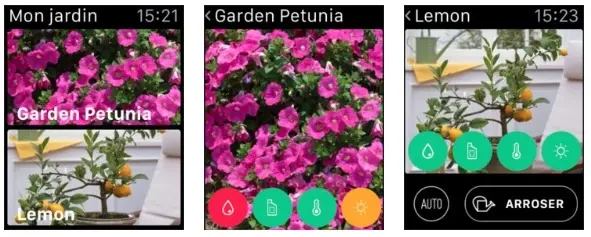 Le Flower Power (Parrot) gagne enfin une extension pour l'Apple Watch