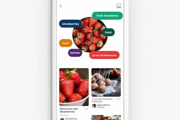 Pinterest sort son nouvel outil découverte sur son app iOS