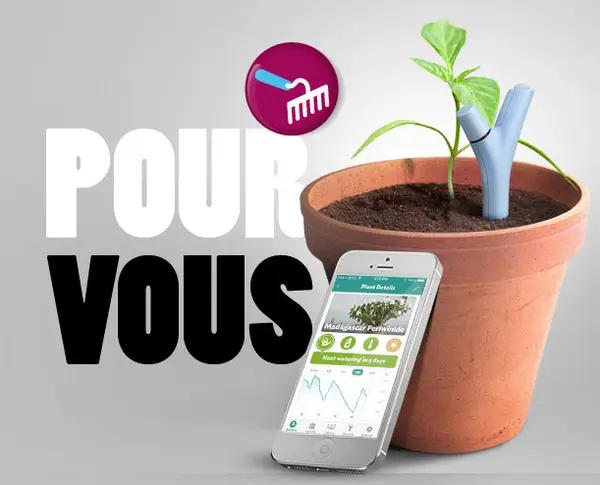 Malgré les promesses, Parrot ferme les serveurs du Flower Power