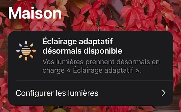 HomeKit : l'éclairage adaptatif pour les ampoules Philips Hue est disponible en France