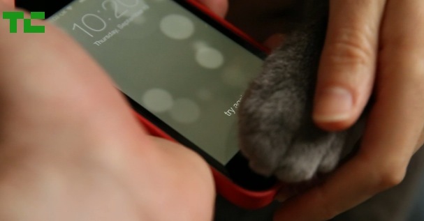 Touch ID : ça marche aussi avec les pattes de chat