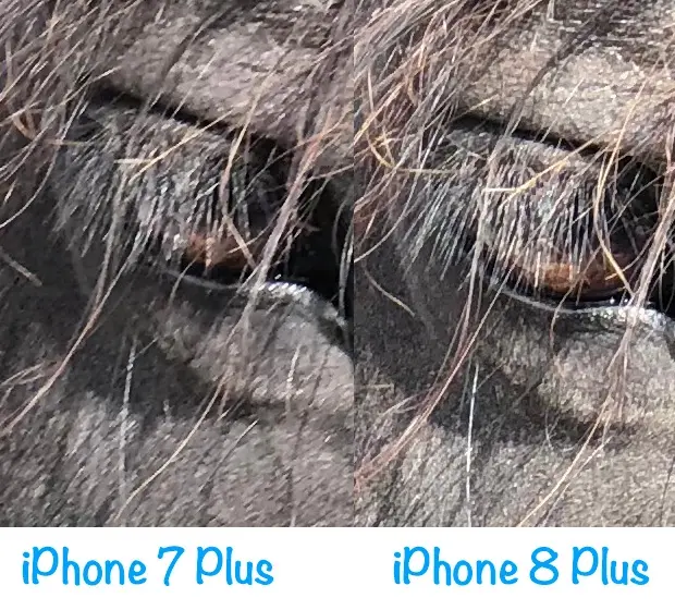 Test de l'iPhone 8 et de l'iPhone 8 Plus