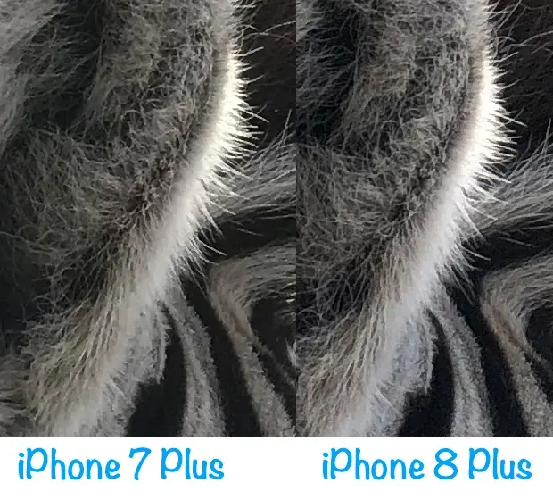 iPhone 8 Plus : finalement, le téléobjectif progresse lui-aussi nettement (photos)