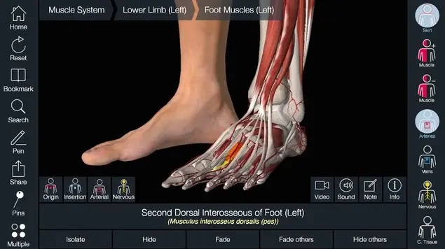 Toutes les magnifiques applications de 3D4Medical sont à moitié prix sur iOS