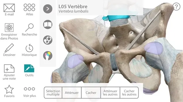 L'atlas d'anatomie humaine de Visible Body est en super méga promo sur iOS