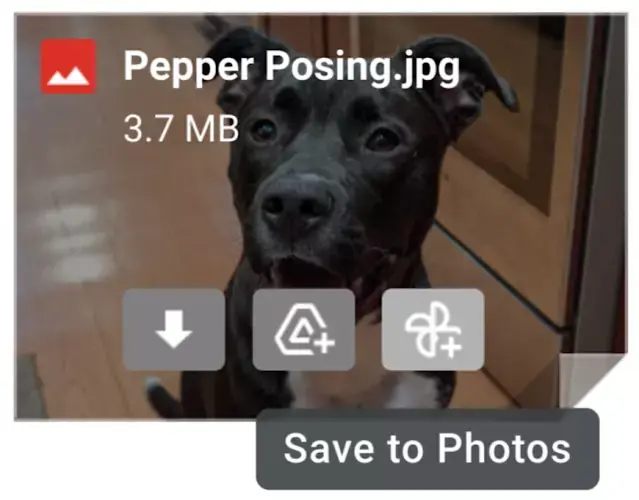 Gmail permet de sauvegarder les images directement sur Google Photos