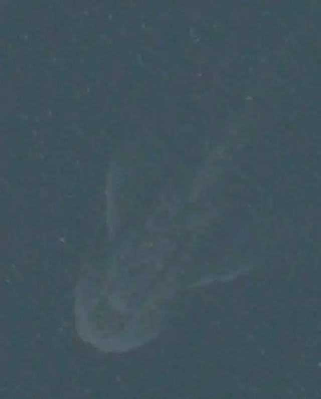 Le monstre du Loch Ness est visible sur Maps. Et uniquement sur Maps !