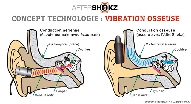 Test du casque Shokz OpenRun Mini à conduction osseuse sans-fil (pour les petites têtes)