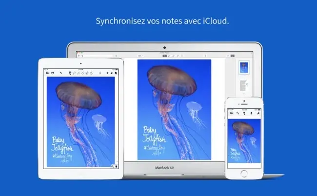 Notability débarque sur Mac et sa version iOS est toujours en promotion