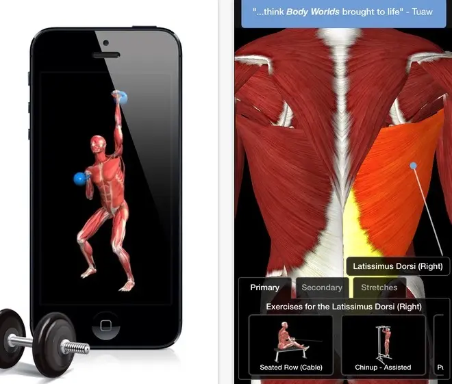 Toutes les magnifiques applications de 3D4Medical sont à moitié prix sur iOS