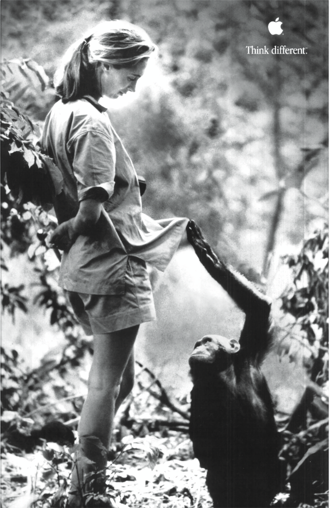 Apple et l'anthropologue Jane Goodall s'allient en faveur du recyclage des déchets électroniques