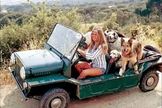 La mythique Mini Moke &eacute;lectrique est de retour&nbsp;!