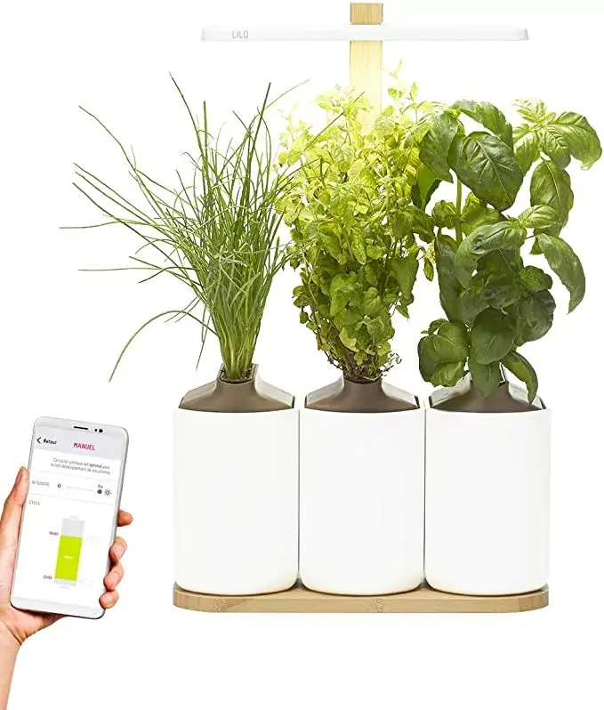 Promo Noël : un potager d'intérieur connecté à petit prix (les 2 Lilo à 149,92 €)