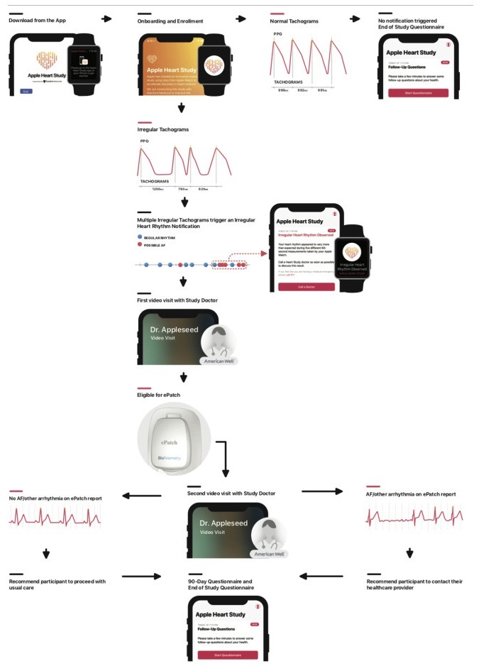 L'étude Apple Heart n'a pas été utilisée pour obtenir l'autorisation de l'ECG par la FDA