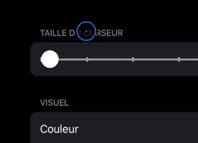 La souris de l'iPad ne ressemble toujours pas à un curseur (mais on s'en rapproche)