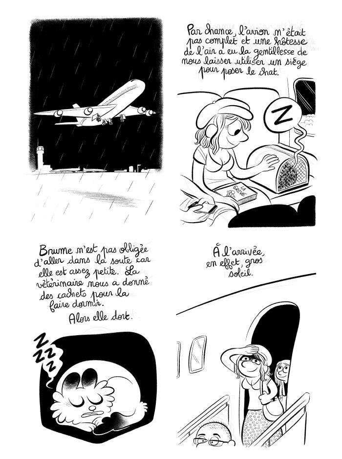 Planche #29 - "J'ai créé ma startup iOS en Californie" par Laurel