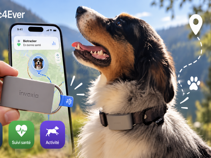 Petit test de l'Invoxia Biotracker : pour ne plus perdre son chien et surveiller sa santé