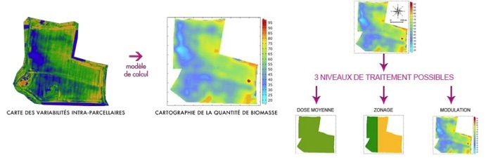 Bientôt, vous verrez des drones (de Parrot) au dessus des champs de maïs !