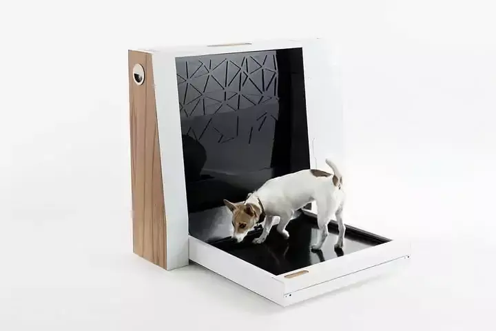 #CES spécial animaux : litière connectée, tapis d’exercice, robot compagnon...