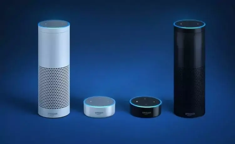 Insolite : Amazon, l'Echo témoin est relâché, l'Echo coupable est relaxé !