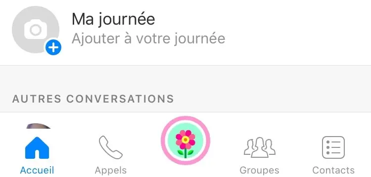 Pour le printemps, Messenger fait éclore les filtres (avec des abeilles et des p'tites fleurs)