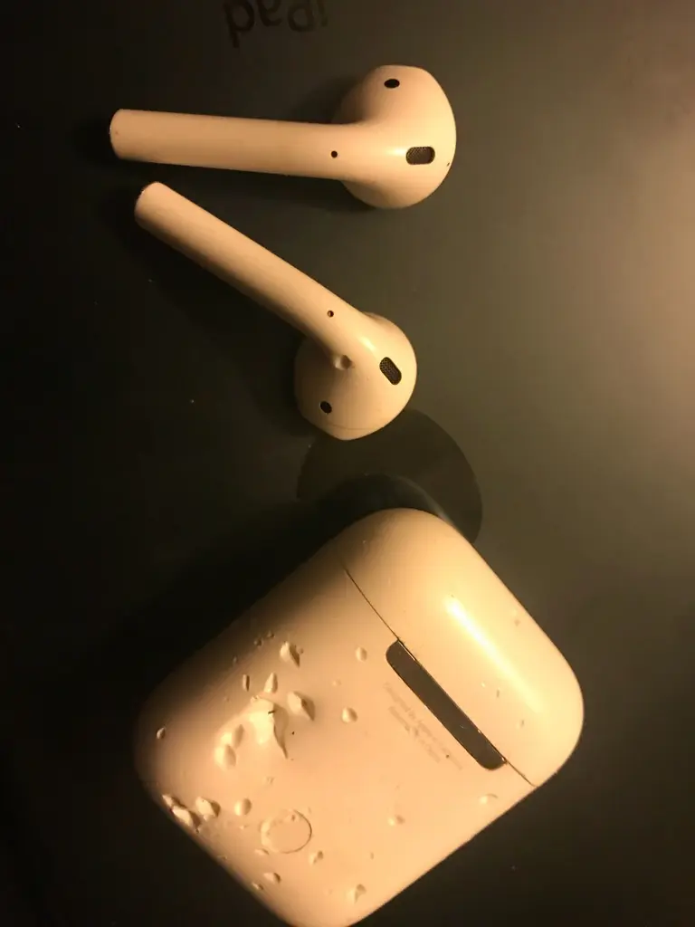 Insolite : AirPods, attention au chien ! (photos)