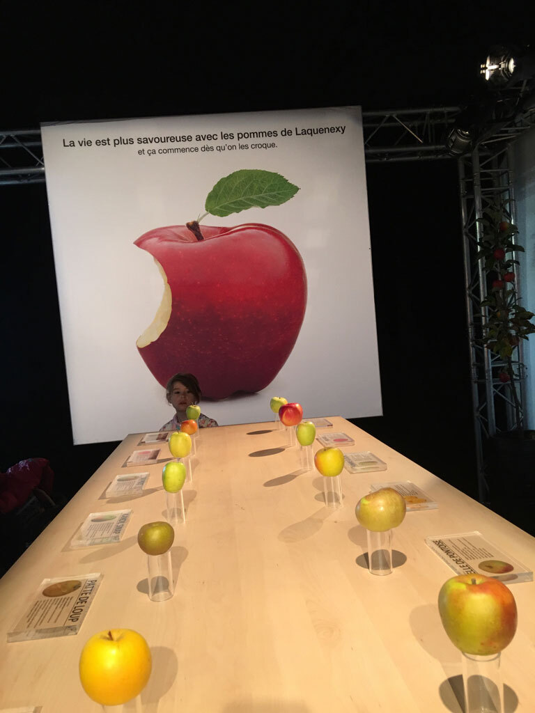 L'image du jour : voilà à quoi ressemble une pomme McIntosh (dans un "Apple Store")