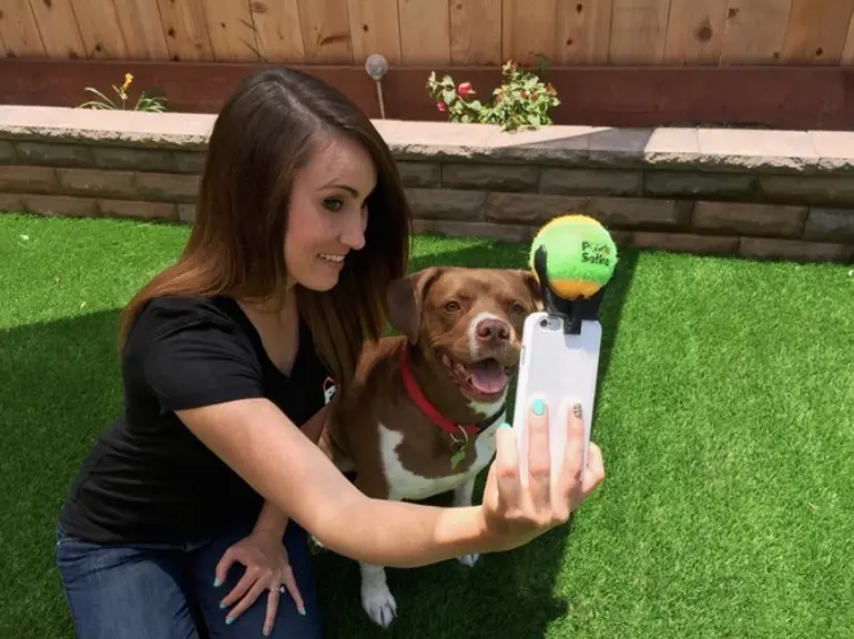 Un kickstarter pour faire poser des chiens pour des selfies