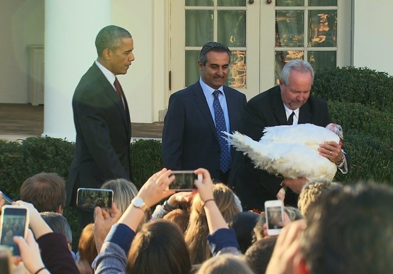 L'image du jour : joyeux Thanksgiving by Apple made in California