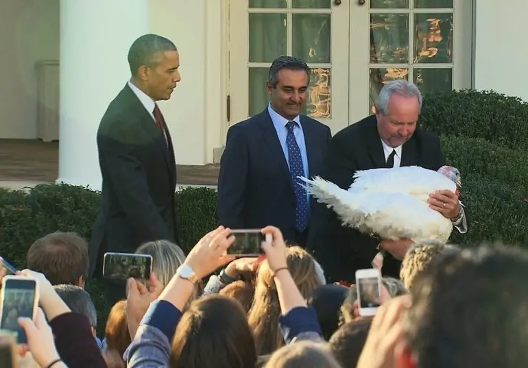 L'image du jour : joyeux Thanksgiving by Apple made in California