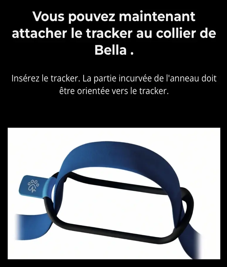 Petit test de l'Invoxia Biotracker&nbsp;: pour ne plus perdre son chien et surveiller sa sant&eacute;