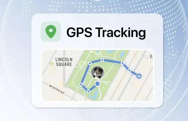 Le tracker Minitailz (IA) d’Invoxia révolutionne le suivi santé de votre chien #CES2024