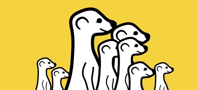 Twitter n'est plus obligatoire pour suivre les directs de Meerkat