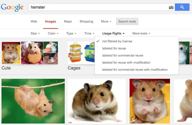 Google Images mieux armé pour trier les images selon leurs droits d'utilisation