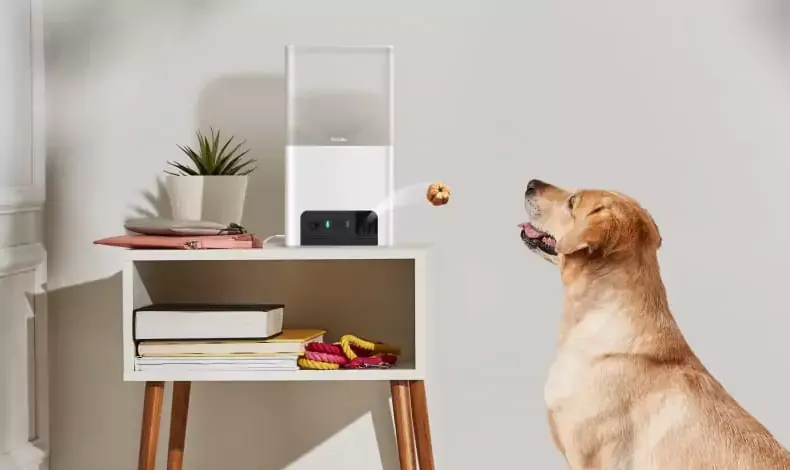 Les caméras connectées Petcube pour chiens et chats arrivent en France