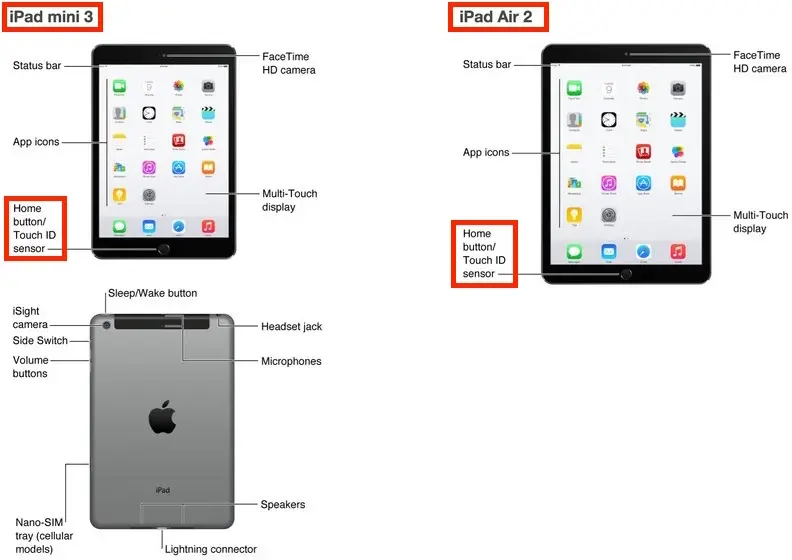 Les iPad Air 2 et iPad mini Retina 2 confirmés par un guide d'utilisateur !  (MAJ)