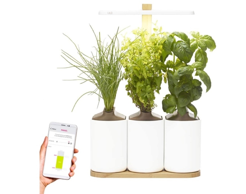 Illustration : Promos : 1 an de Microsoft 365 Famille à 59€, Osmo Pocket à 199€, Deco M4 x3 à 119€