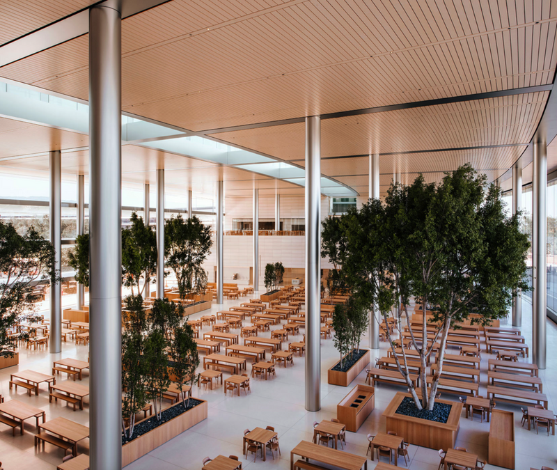 Illustration : Les employés d'Apple Park veulent plus de flexibilité