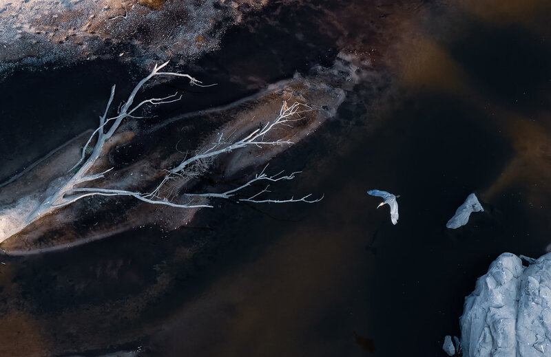 Illustration : Macro, Téléobjectif : le photographe Austin Mann teste l'iPhone 13 Pro en Tanzanie