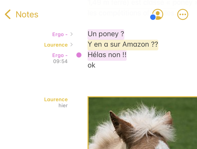 Illustration : iOS-iPadOS 15 : les nouveautés de Notes (notes partagées, note rapide, notification...)